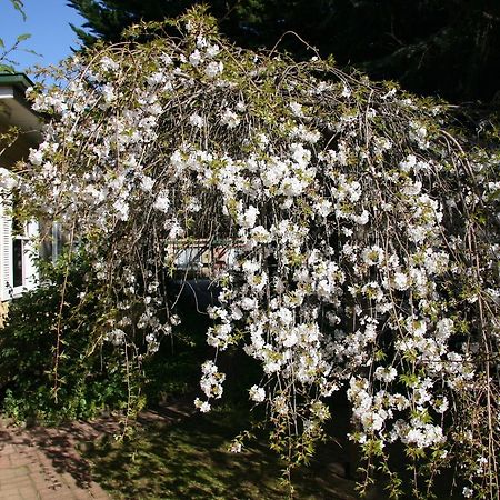 Villa Carawatha Gardens Bright Exterior foto