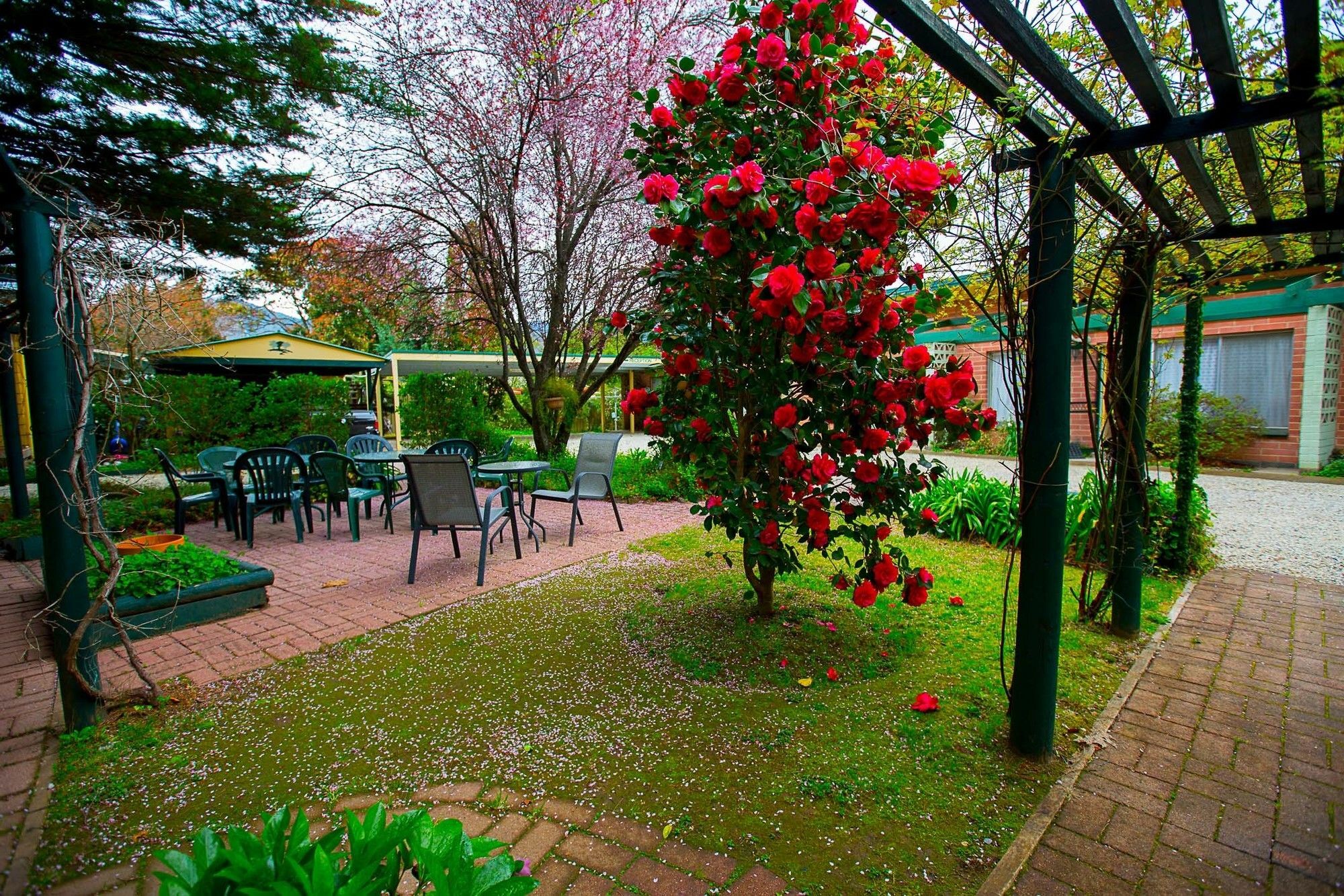 Villa Carawatha Gardens Bright Exterior foto